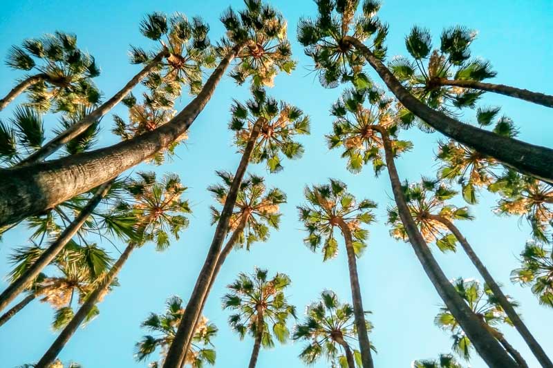 Costa del Sol malaga