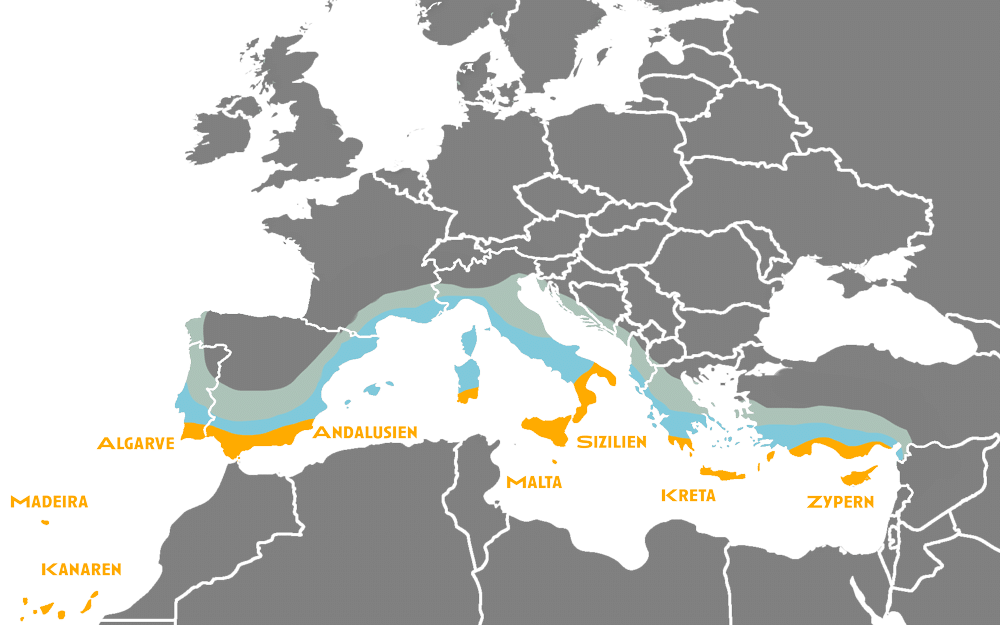Karte Warme Reiseziele Winter Europa Winterflucht