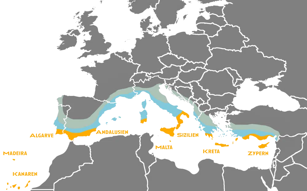 Karte Warme Reiseziele Winter Europa Winterflucht