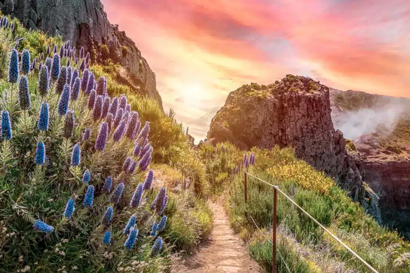 Madaira Wanderung Pico Ruivo Madaira Wanderung Pico Ruivo