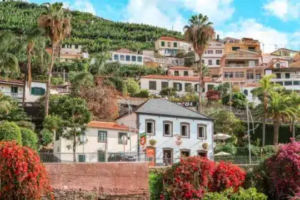 Madeira Anreise Tipps Mietwagen