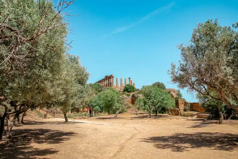 Valle dei Templi sizilien Valle dei Templi sizilien