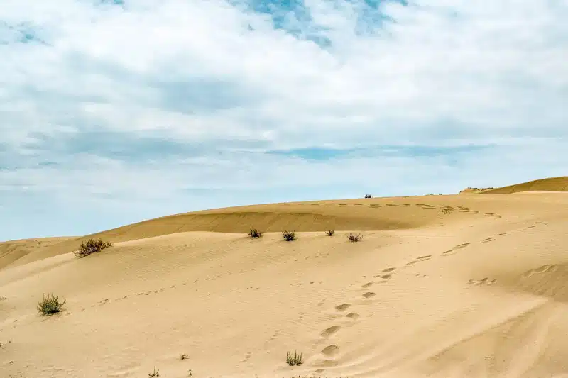 Zypern Urlaub Akrotiri Sanddünen Zypern Urlaub Akrotiri Sanddünen