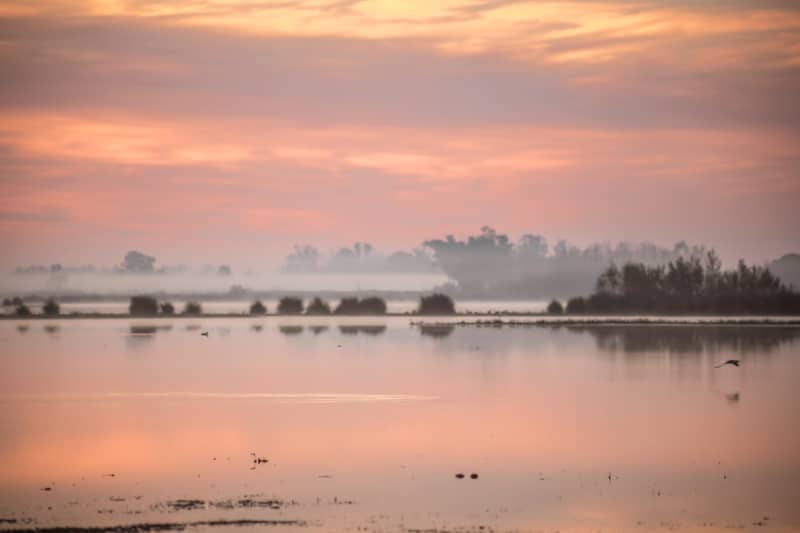 andalusien sehenswürdigkeiten donana Guadalquivir