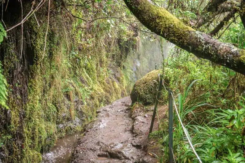 madeira portugal levada wege madeira portugal levada wege